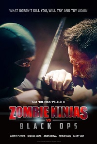 Зомби-ниндзя против спецназа / Zombie Ninjas vs Black Ops / 2015